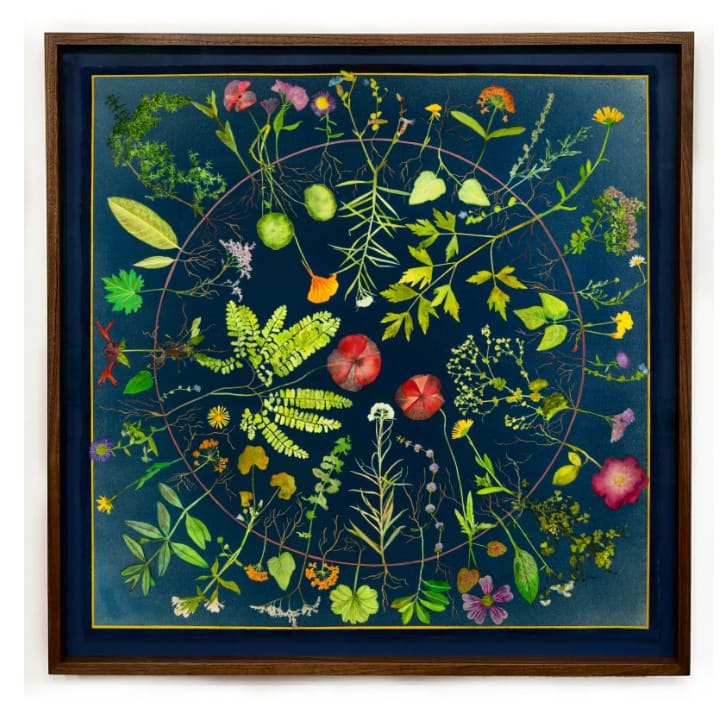 Circle of Life <br /> Image copyright: Courtesy of Julia Whitney Barnes Circle of Life <br /> Image copyright: Courtesy of Julia Whitney Barnes