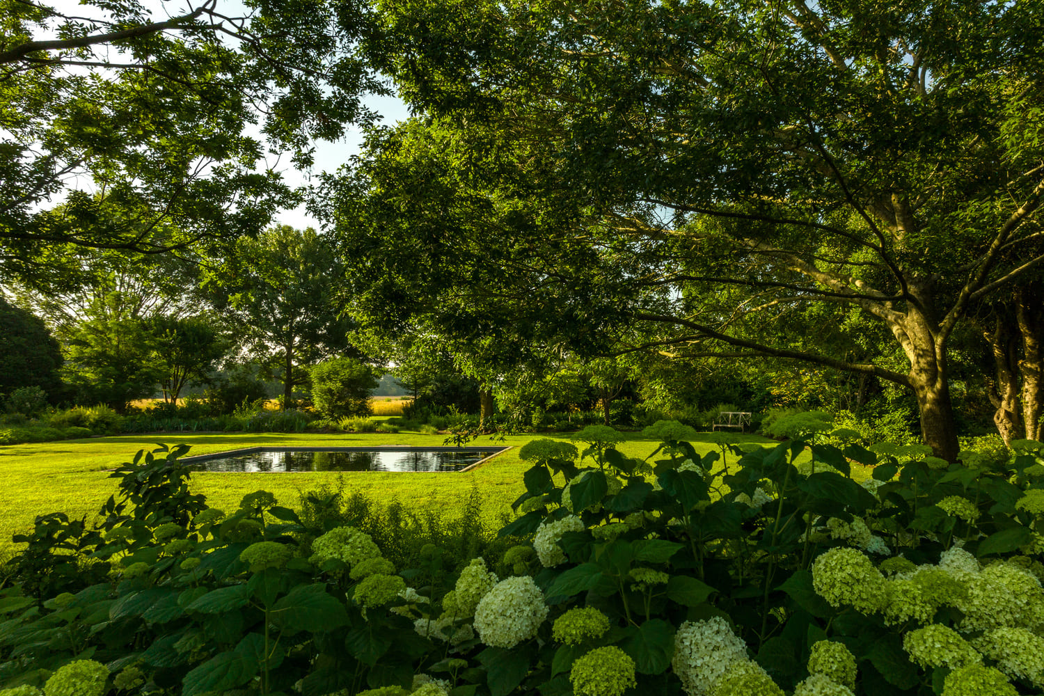 ©Alon Koppel, Courtesy of Jean-Marc Flack ©Alon Koppel, Courtesy of Jean-Marc Flack